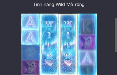 Tính năng wild mở rộng